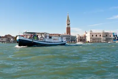 Vita punga venice