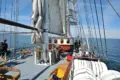 Mare frisium sailing