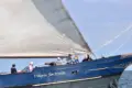 Wapen fan fryslan guests