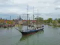 Mare in hoorn