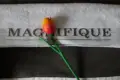 A flower on your bed