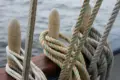 Learning the ropes
