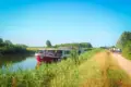 Ave sailing
