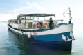 Vita punga to the harbor