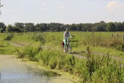 Cyclist in grassland