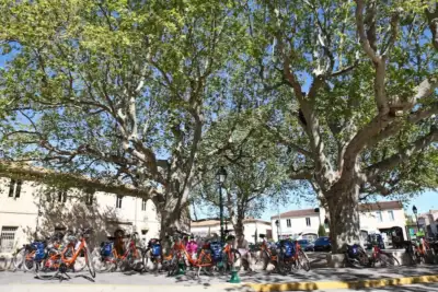 Provence bikes