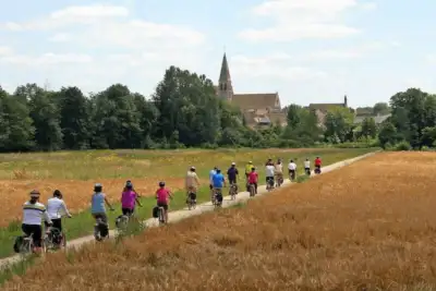 Cyclists 6