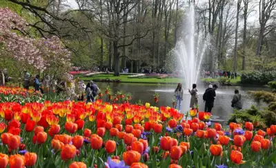 Keukenhof