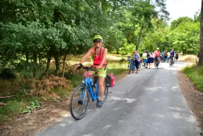 Cycling through forest