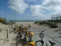 Dunes in holland