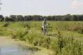 Cyclist in grassland