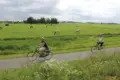 Cyclists in country side
