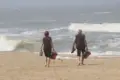 North Sea coast beach