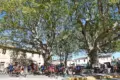 Provence bikes
