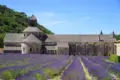 Provence 8