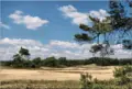 National park Hoge Veluwe 1