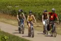 France Burgundy zwaantje 2