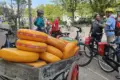 Cheese of gouda