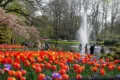 Keukenhof 1200x800