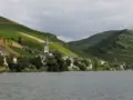 Cochem Metz Mosel 1