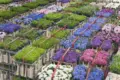 Aalsmeer flower auction 2