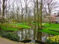 Keukenhof