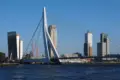 Rotterdam Erasmus bridge 1