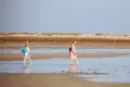 Terschelling beach guests women water walking jeroen berends