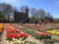 Hortus Bulborum