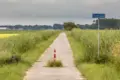 Cycling track or fietspad through green flat open polder landscape in groningen province netherlands