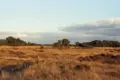 Landscape het nationale park de hoge veluwe